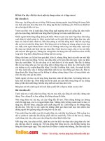 bai van mau ta cay hoa hong dang ra hoa