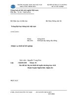 Dự án thiết kế tuyến đƣờng trục a b thuộc huyện nghĩa đàn ,nghệ an 