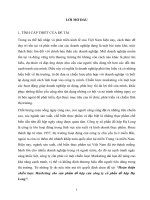 Hoàn thiện chiến lược Marketing cho sản phẩm đồ hộp công ty cổ phần đồ hộp Hạ Long