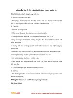 van mau lop 5 ta canh buoi sang trong vuon cay