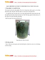 giai bai tap sgk lich su lop 6 bai 13 doi song vat chat va tinh than cua cu dan van lang