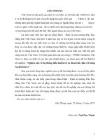 Nghiên cứu về hệ thống điều khiển từ xa diesel lai chân vịt hãng nabtesco 