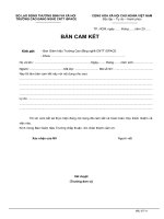 Bản cam kết DT11 Bancamket 11