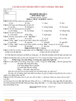 bo de thi hoc sinh gioi mon tieng viet cuoi cap tieu hoc