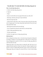 van mau lop 5 ta canh buoi chieu tren dong song que em