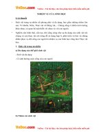 ly thuyet sinh hoc lop 6 bai 2 nhiem vu cua sinh hoc 01