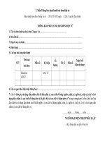 mau 02 thong bao phat hanh hoa don dien tu