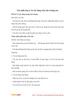 van mau lop 4 ta cay bang tren san truong em