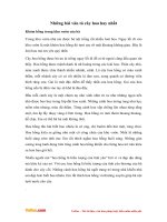 nhung bai van ta cay hoa hay nhat