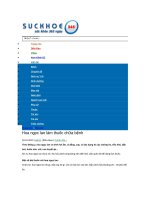 Bài thuốc chữa ho mà bạn chưa biết