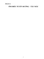 Thiết kế tàu chở dầu có trọng tải 12 800 tấn, lắp máy 6200 mã lực, hoạt động tuyến dung quất   kobe (nhật bản) 