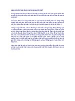 133.Làng như thế nào được coi là làng sinh thái?