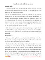 van mau lop 4 ta chiec ban hoc cua em