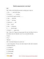 bo de on tap luyen tu va cau lop 5