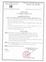 Công bố thông tin V.v Bổ nhiệm ông Lê Quốc Mạnh giữ chức Phó Tổng giám đốc phụ trách Kinh doanh Cty TRISEDCO