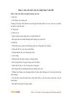 dan y cho bai van ta canh lop 5 chi tiet