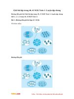 giai bai tap trang 40 41 sgk toan 1 luyen tap chung