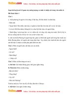 soan bai luyen noi ve quan sat tuong tuong so sanh va nhan xet trong van mieu ta