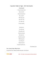 soan bai chinh ta nghe viet choi chuyen