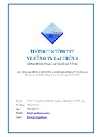 Ban Thong tin tom tat Cong ty dai chung   1