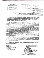 KeToan.Org cong van 4217 tchq txnk ve viec mien va xoa no thue nhap khau thue gia tri gia tang