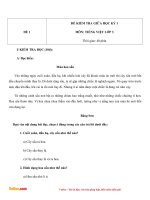 bo de thi giua hoc ki 1 mon tieng viet lop 3