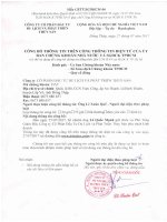 Công bố thông tin V.v Bổ nhiệm ông Lê Quốc Mạnh giữ chức Phó Tổng giám đốc phụ trách Kinh doanh Cty TRISEDCO