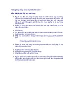 202.Tội hủy hoại rùng bị xử phạt như thế nào?