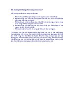 2 Moi truong co nhung chuc nang co ban nao