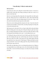 van mau lop 2 mieu ta canh mua he