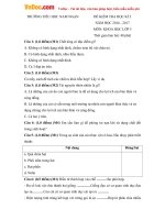 de thi hk2 mon khoa hoc lop 5 truong tieu hoc nam ngan thanh hoa nam hoc 2016 2017