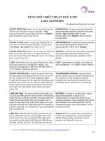 iSEE Factsheet Bang doi chieu thuat ngu LGBT 2014