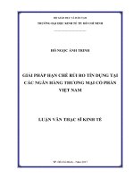 Giải pháp hạn chế rủi ro tín dụng tại các ngân hàng thương mại cổ phần việt nam 