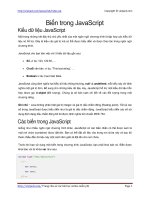 Biến trong JavaScript | 208 bài học Javascript miễn phí hay nhất PDF