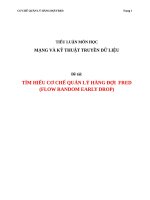 Tiểu luận mạng   cơ chế quản lý hàng đợi fred