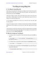 tro dong tu trong tieng anh