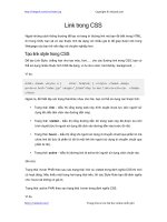 Link trong CSS PDF link trong css