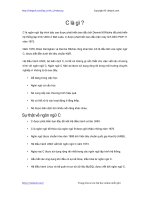 C là gì - 64 bài học lập trình C miễn phí PDF