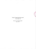 30062017 BCTC hop nhat quy 2 2017