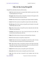 Kiểu dữ liệu trong MongoDB | 41 bài học miễn phí MongoDB hay nhất