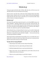 SQLite là gì | 54 bài học SQLite miễn phí hay nhất PDF sqlite la gi