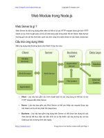 web module trong nodejs