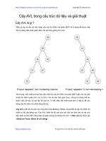 Cây AVL trong cấu trúc dữ liệu và giải thuật PDF giai thuat cay avl