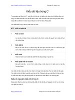 kieu du lieu trong c