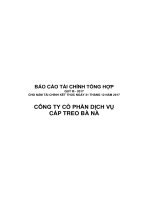 BCTC Tong hop BNC 9 thang dau 20171