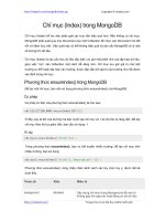 Chỉ mục (Index) trong MongoDB | 41 bài học miễn phí MongoDB hay nhất