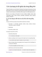 vi tri trang tu bo nghia cau trong tieng anh