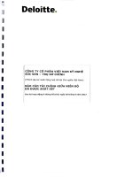 vissan   bctc giua nien do da duoc soat xet   6 thang dau nam 2017   tru so chinh