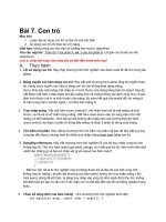 Lịch học Tài liệu Bài tập - INT 2202 Lập trình nâng cao. Nhóm 3 và nhóm 5 07.Pointers