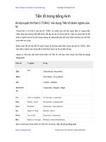 tien to trong tieng anh